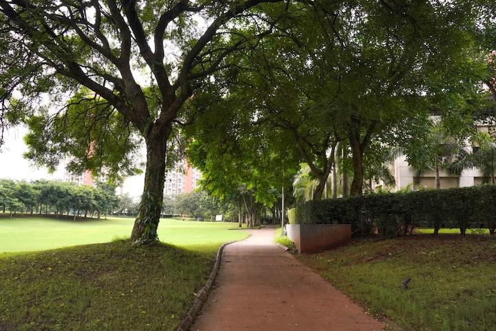 Cozy studio Lodha Pune